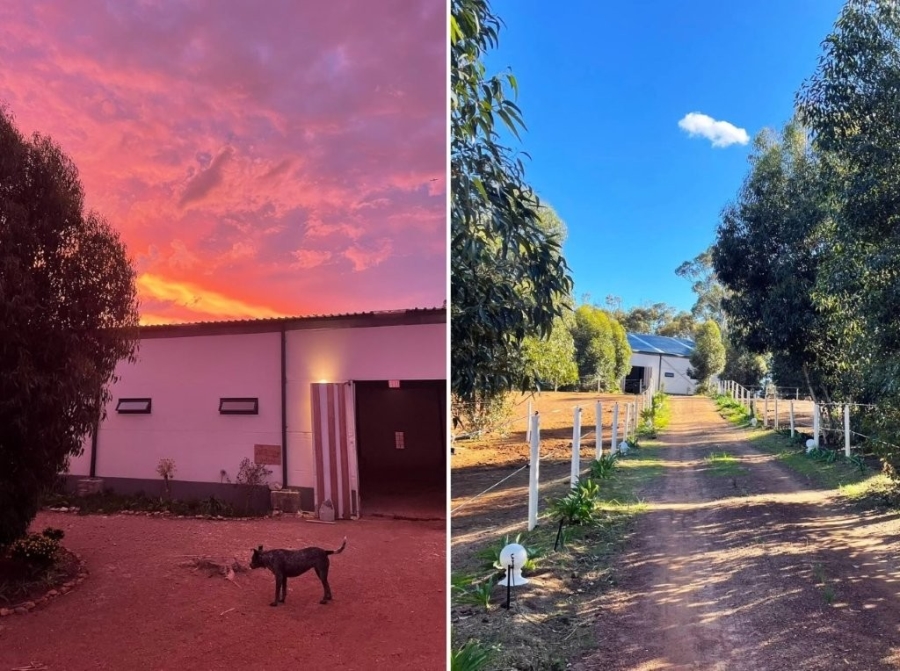 3 Bedroom Property for Sale in Firlands Western Cape